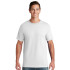 Gulliver - Short Sleeve Cotton Tshirt - Lacrosse